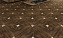 Напольная плитка ALMA CERAMICA Evora TFU03EVR404 коричневый 41,8х41,8см 1,922кв.м. матовая