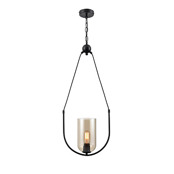 Светильник подвесной Vele Luce Fiamma VL5812P01 60Вт E27