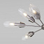 Люстра потолочная Eurosvet Thalia 60140/9 сатин-никель 60Вт 9 лампочек E14