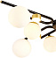 Люстра потолочная Favourite Soffiato 3048-8P 236Вт 8 лампочек G9/LED