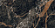 Неполированный керамогранит REX Les Bijoux de Rex 766331 Ombre caravage matte 60х120см 1,44кв.м.