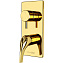 Душевая система WASSERKRAFT Sauer А71207 золото