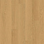 Виниловый ламинат Quick-Step Дуб чистый медовый PUCL40098 1510х210х4,5мм 32 класс 2,22кв.м